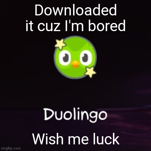 Downloaded Duolingo App | Downloaded it cuz I'm bored; Wish me luck | image tagged in duolingo,idk | made w/ Imgflip meme maker