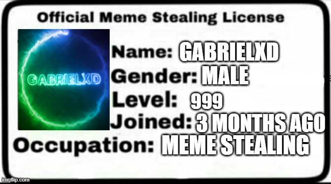 I'm certified | GABRIELXD; MALE; 999; 3 MONTHS AGO; MEME STEALING | image tagged in meme stealing license | made w/ Imgflip meme maker