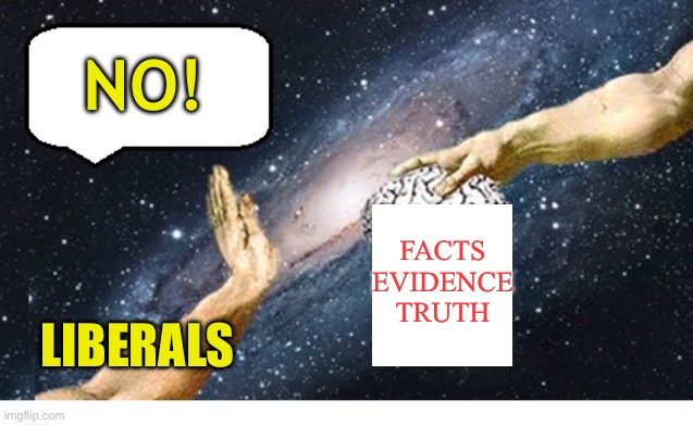 Fact deniers | NO! FACTS EVIDENCE TRUTH; LIBERALS | image tagged in brain no thanks blank,liberals,libtards | made w/ Imgflip meme maker