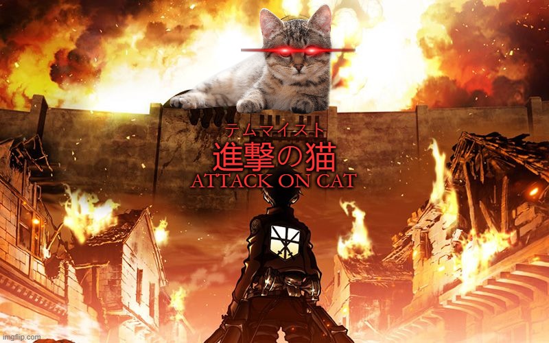 Shingeki no Neko | テムマイスト; 進撃の猫; ATTACK ON CAT | image tagged in attack on titan,cats,funny,memes,edit | made w/ Imgflip meme maker