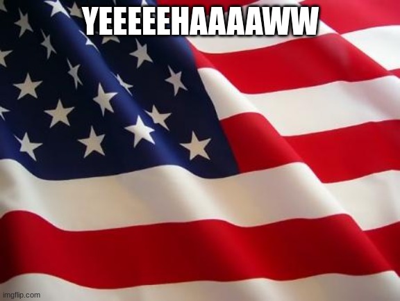 American flag | YEEEEEHAAAAWW | image tagged in american flag | made w/ Imgflip meme maker