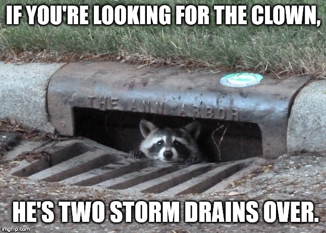 Pennywise but raccoon | image tagged in raccoon | made w/ Imgflip meme maker