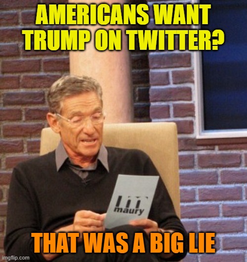 Elons man crush | AMERICANS WANT TRUMP ON TWITTER? THAT WAS A BIG LIE | image tagged in that was a lie,donald trump,elon musk,political meme,maga | made w/ Imgflip meme maker