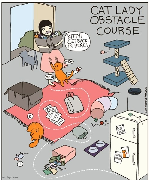 A Cat Lady's Way Of Thinking | image tagged in memes,comics,cats,lady,obstacle course,path | made w/ Imgflip meme maker