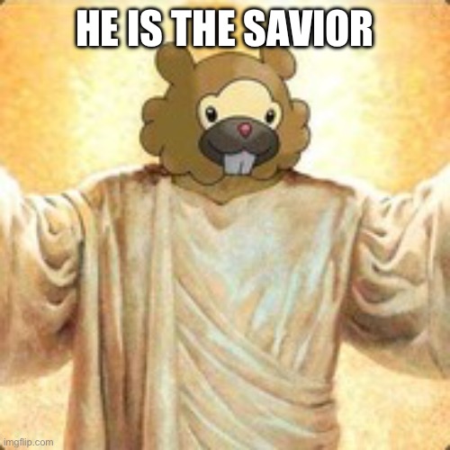 Bidoof the saviour | HE IS THE SAVIOR | image tagged in bidoof the saviour | made w/ Imgflip meme maker