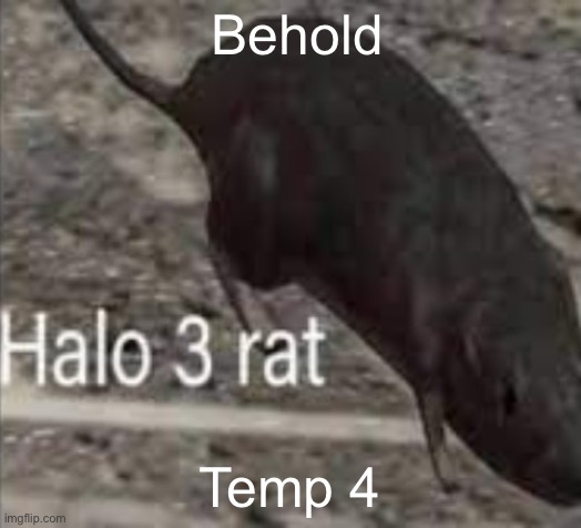 halo 3 rat | Behold; Temp 4 | image tagged in halo 3 rat | made w/ Imgflip meme maker