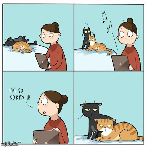 A Cat's Way Of Thinking | image tagged in memes,comics,cats,sleeping,music,how dare you | made w/ Imgflip meme maker