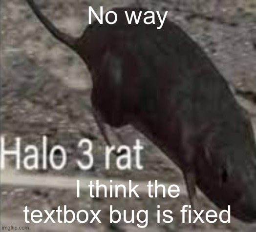 halo 3 rat | No way; I think the textbox bug is fixed | image tagged in halo 3 rat | made w/ Imgflip meme maker