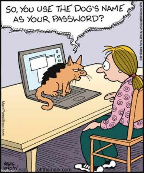 image tagged in memes,comics,cats,dogs,password,how dare you | made w/ Imgflip meme maker