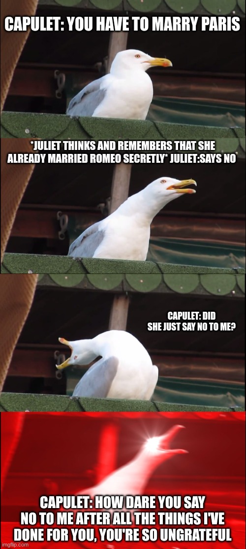 Inhaling Seagull | CAPULET: YOU HAVE TO MARRY PARIS; *JULIET THINKS AND REMEMBERS THAT SHE ALREADY MARRIED ROMEO SECRETLY* JULIET:SAYS NO; CAPULET: DID SHE JUST SAY NO TO ME? CAPULET: HOW DARE YOU SAY NO TO ME AFTER ALL THE THINGS I'VE DONE FOR YOU, YOU'RE SO UNGRATEFUL | image tagged in memes,inhaling seagull | made w/ Imgflip meme maker