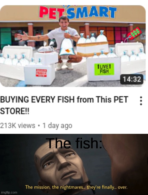 They are not gonna miss petsmart lol | The fish: | image tagged in the mission the nightmares they re finally over,aquarium | made w/ Imgflip meme maker