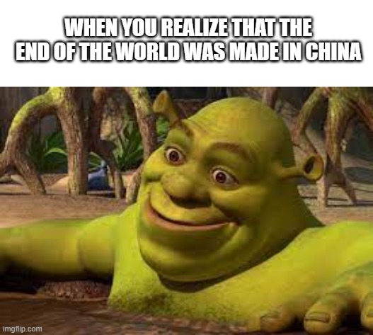 Fact | WHEN YOU REALIZE THAT THE END OF THE WORLD WAS MADE IN CHINA | image tagged in shrek in pool,memes | made w/ Imgflip meme maker