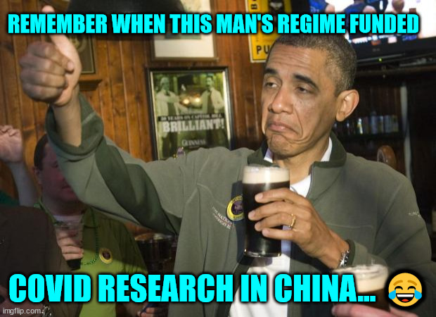 Not Bad | REMEMBER WHEN THIS MAN'S REGIME FUNDED COVID RESEARCH IN CHINA... ? | image tagged in not bad | made w/ Imgflip meme maker