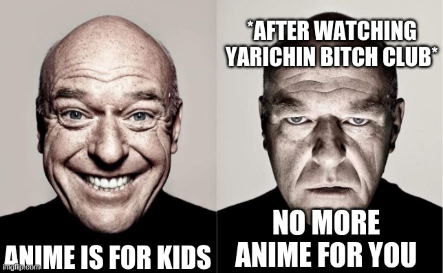 idk | *AFTER WATCHING YARICHIN BITCH CLUB*; ANIME IS FOR KIDS; NO MORE ANIME FOR YOU | image tagged in hank | made w/ Imgflip meme maker