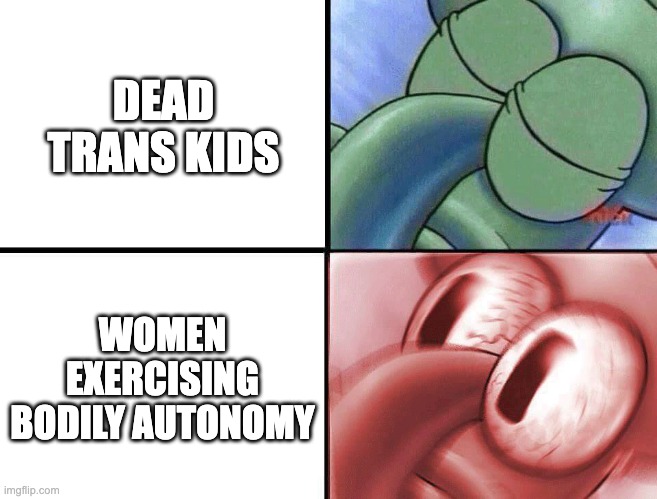 sleeping Squidward | DEAD TRANS KIDS; WOMEN EXERCISING BODILY AUTONOMY | image tagged in sleeping squidward | made w/ Imgflip meme maker