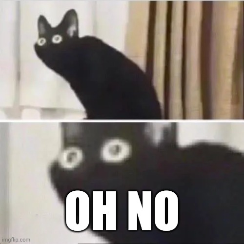 Scared cat | OH NO | image tagged in scared cat | made w/ Imgflip meme maker