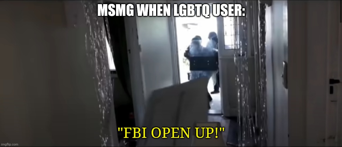 FBI OPEN UP | MSMG WHEN LGBTQ USER:; "FBI OPEN UP!" | image tagged in fbi open up | made w/ Imgflip meme maker