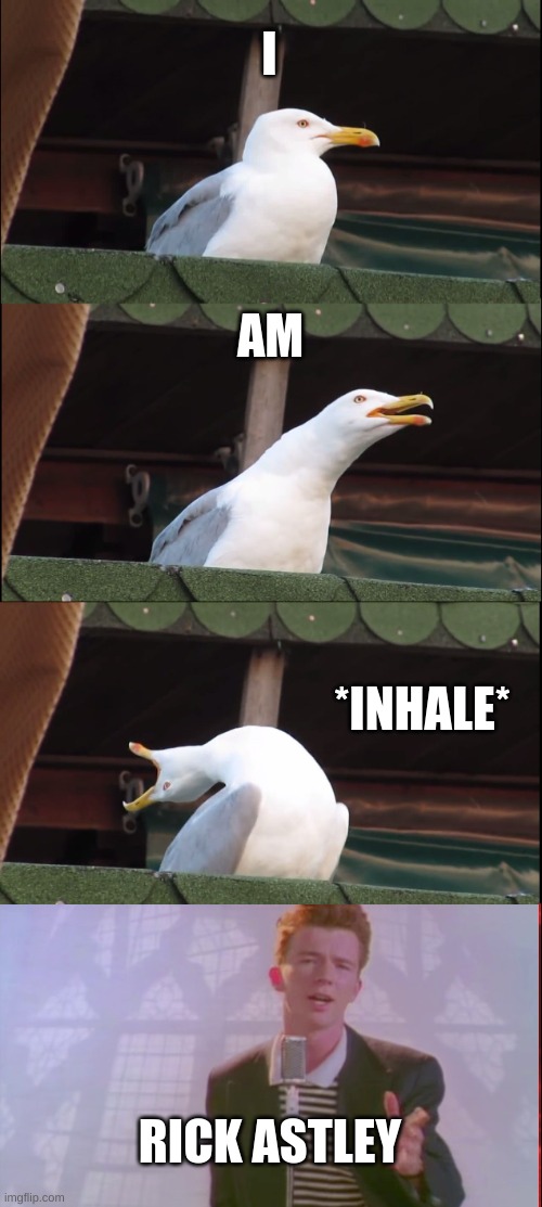 Scroll down | I; AM; *INHALE*; RICK ASTLEY | image tagged in memes,inhaling seagull,scroll down,help,not again | made w/ Imgflip meme maker