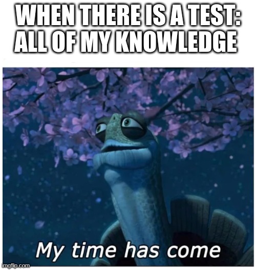 rip brain | WHEN THERE IS A TEST:
ALL OF MY KNOWLEDGE | image tagged in my time has come | made w/ Imgflip meme maker