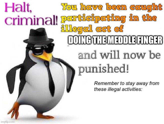 halt criminal! | DOING THE MEDDLE FINGER | image tagged in halt criminal | made w/ Imgflip meme maker