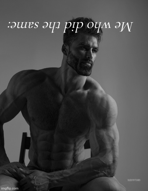 Giga Chad | Me who did the same: | image tagged in giga chad | made w/ Imgflip meme maker