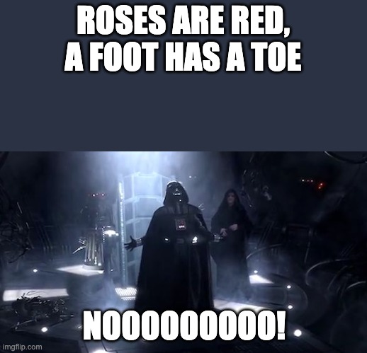 Vader nooooooooo | ROSES ARE RED, A FOOT HAS A TOE NOOOOOOOOO! | image tagged in vader nooooooooo | made w/ Imgflip meme maker