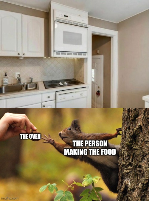 That oven very high | THE PERSON MAKING THE FOOD; THE OVEN | image tagged in squirrel reaching for nut,oven,you had one job,memes,design fails,kitchen | made w/ Imgflip meme maker