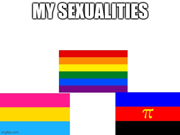 My Sexualities | MY SEXUALITIES | image tagged in blank white template | made w/ Imgflip meme maker