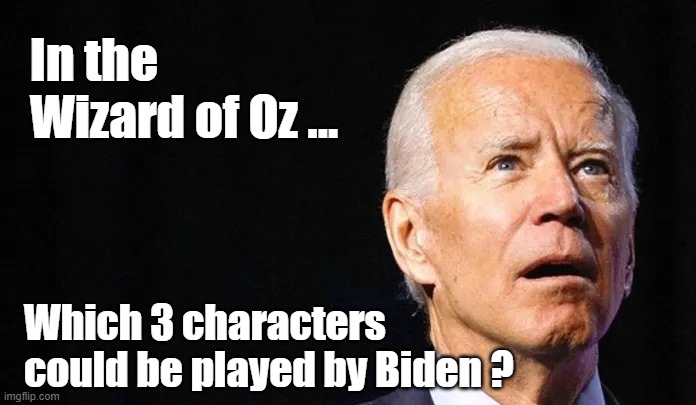 politics | In the 
Wizard of Oz ... Which 3 characters 
could be played by Biden ? | image tagged in wizard of oz | made w/ Imgflip meme maker