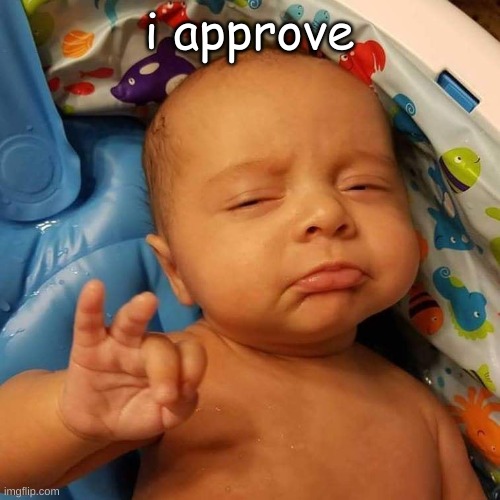 i approve | image tagged in ok sign baby | made w/ Imgflip meme maker