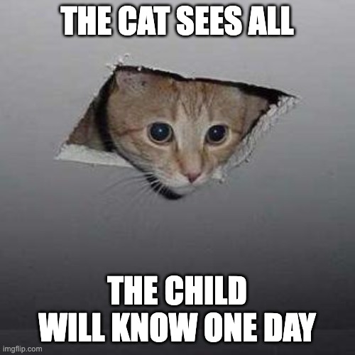 Ceiling Cat Meme | THE CAT SEES ALL THE CHILD WILL KNOW ONE DAY | image tagged in memes,ceiling cat | made w/ Imgflip meme maker
