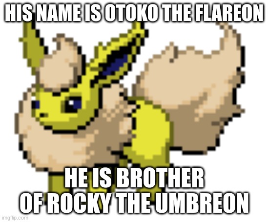 ... | HIS NAME IS OTOKO THE FLAREON; HE IS BROTHER OF ROCKY THE UMBREON | image tagged in otoko the flareon | made w/ Imgflip meme maker