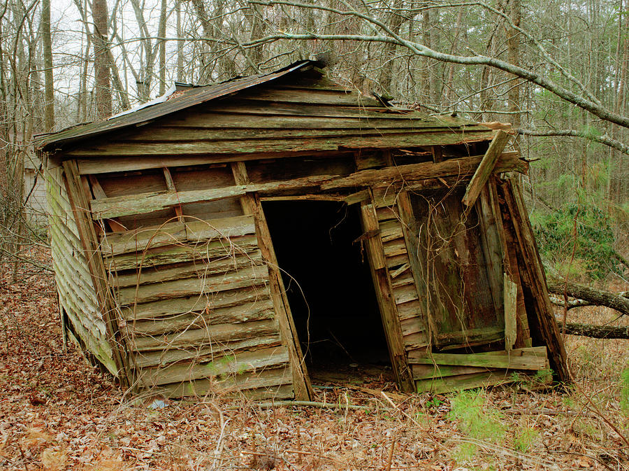 High Quality Shack in The Woods Blank Meme Template