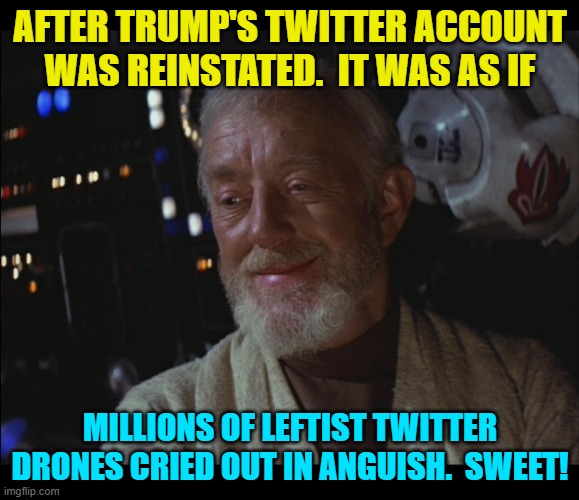 Obi Wan . . . such a kidder. | AFTER TRUMP'S TWITTER ACCOUNT WAS REINSTATED.  IT WAS AS IF; MILLIONS OF LEFTIST TWITTER DRONES CRIED OUT IN ANGUISH.  SWEET! | image tagged in star wars obi wan high | made w/ Imgflip meme maker