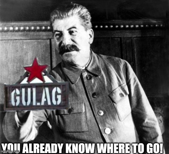 You already know where to go! | YOU ALREADY KNOW WHERE TO GO! | image tagged in stalins advice,gulag,stalin,in soviet russia,soviet union,russia | made w/ Imgflip meme maker