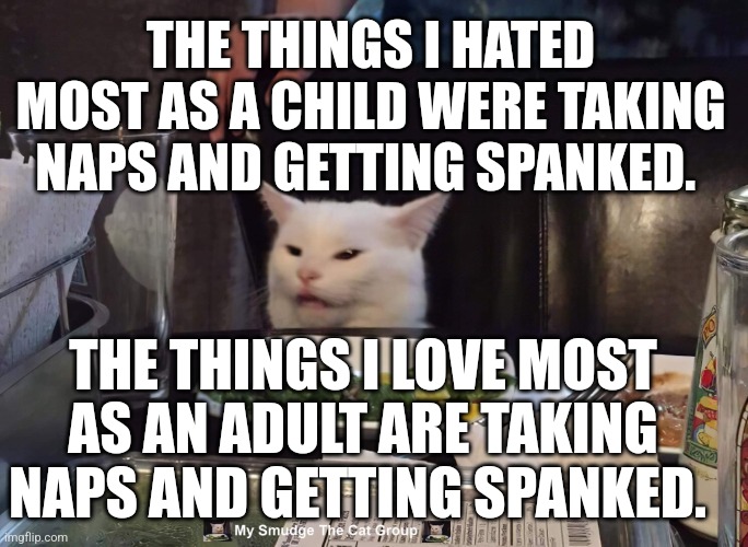  THE THINGS I HATED MOST AS A CHILD WERE TAKING NAPS AND GETTING SPANKED. THE THINGS I LOVE MOST AS AN ADULT ARE TAKING NAPS AND GETTING SPANKED. | image tagged in smudge the cat | made w/ Imgflip meme maker