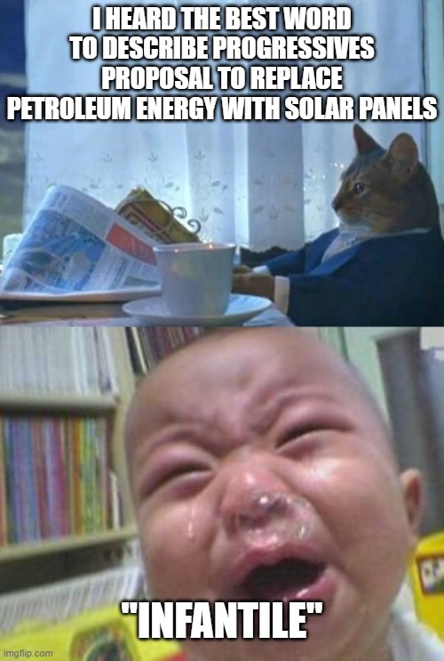 I HEARD THE BEST WORD TO DESCRIBE PROGRESSIVES PROPOSAL TO REPLACE PETROLEUM ENERGY WITH SOLAR PANELS; "INFANTILE" | image tagged in cat newspaper,funny crying baby | made w/ Imgflip meme maker