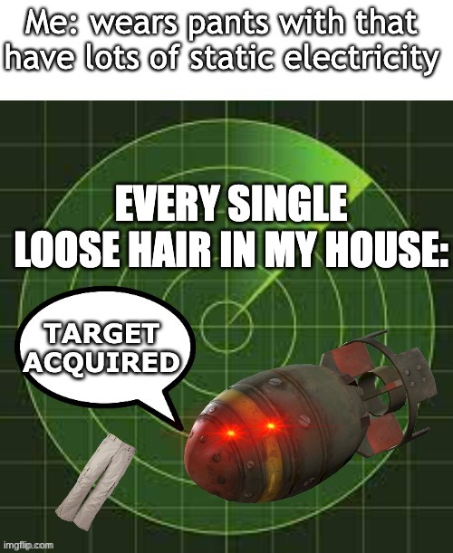 dude this sucks | image tagged in pants,hair,static | made w/ Imgflip meme maker