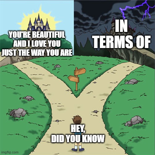 Did you know? | IN TERMS OF; YOU'RE BEAUTIFUL AND I LOVE YOU JUST THE WAY YOU ARE; HEY, DID YOU KNOW | image tagged in two paths,memes | made w/ Imgflip meme maker