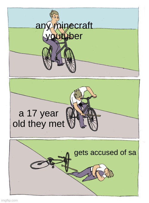 stampy and dantdm better not fail me | any minecraft youtuber; a 17 year old they met; gets accused of sa | image tagged in memes,bike fall | made w/ Imgflip meme maker