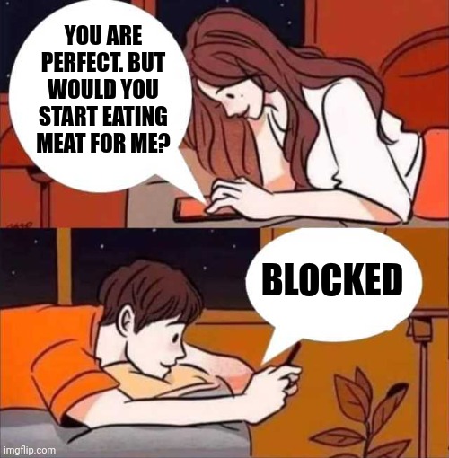 How bout no | YOU ARE PERFECT. BUT WOULD YOU START EATING MEAT FOR ME? BLOCKED | image tagged in boy and girl texting,memes,vegan,vegetarian | made w/ Imgflip meme maker