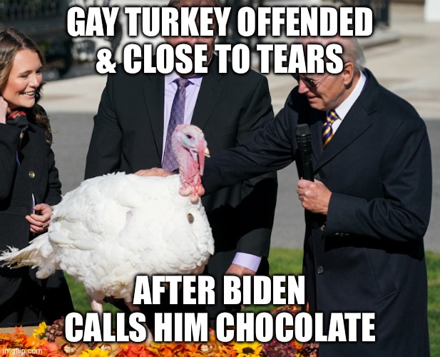 Biden Insults Gay Turkey at Pardoning Ceremony! | GAY TURKEY OFFENDED & CLOSE TO TEARS; AFTER BIDEN CALLS HIM CHOCOLATE | image tagged in biden,biden turkey pardon,thanksgiving,biden pardons chocolate and chip | made w/ Imgflip meme maker