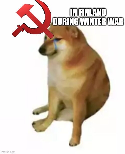 Used for comment!! | IN FINLAND DURING WINTER WAR | image tagged in weak doge alone | made w/ Imgflip meme maker