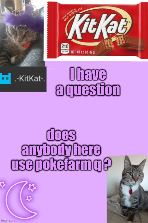 Kittys announcement template kitkat addition | I have а question; does anybody here use pokefarm q ? | image tagged in kittys announcement template kitkat addition | made w/ Imgflip meme maker