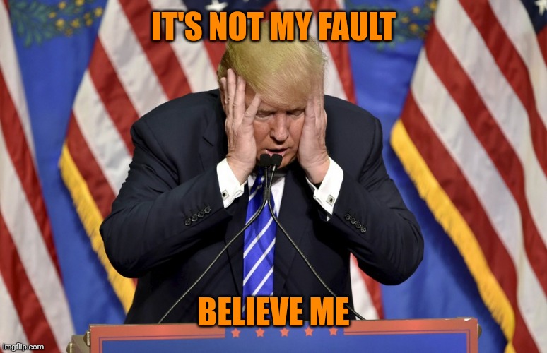 Cry baby Trump | IT'S NOT MY FAULT BELIEVE ME | image tagged in cry baby trump | made w/ Imgflip meme maker