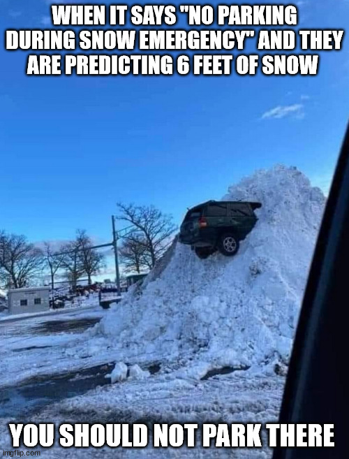 WHEN IT SAYS "NO PARKING DURING SNOW EMERGENCY" AND THEY ARE PREDICTING 6 FEET OF SNOW; YOU SHOULD NOT PARK THERE | image tagged in no parking | made w/ Imgflip meme maker