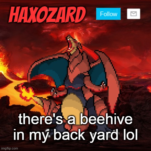  there's a beehive in my back yard lol | image tagged in haxozard announcement,i'm in danger | made w/ Imgflip meme maker