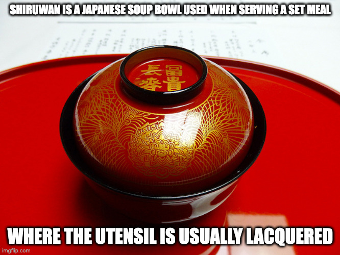 Shiruwan | SHIRUWAN IS A JAPANESE SOUP BOWL USED WHEN SERVING A SET MEAL; WHERE THE UTENSIL IS USUALLY LACQUERED | image tagged in bowl,memes | made w/ Imgflip meme maker
