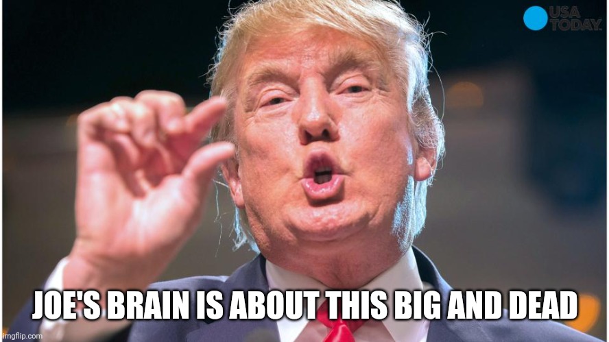 Donald Trump small brain | JOE'S BRAIN IS ABOUT THIS BIG AND DEAD | image tagged in donald trump small brain | made w/ Imgflip meme maker