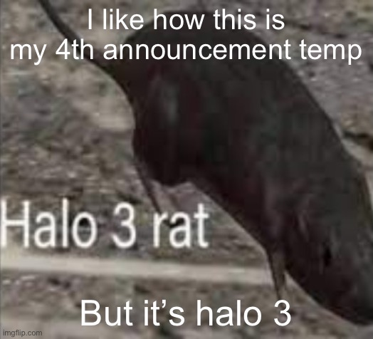 One number off ☠️ | I like how this is my 4th announcement temp; But it’s halo 3 | image tagged in halo 3 rat | made w/ Imgflip meme maker